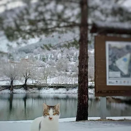 Casa Vacanze Frattura Vakantiehuis